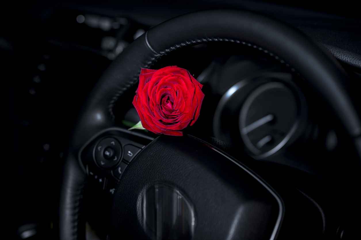 valentine's day surprise , red rose left in car for your love one surprise on romantic day.